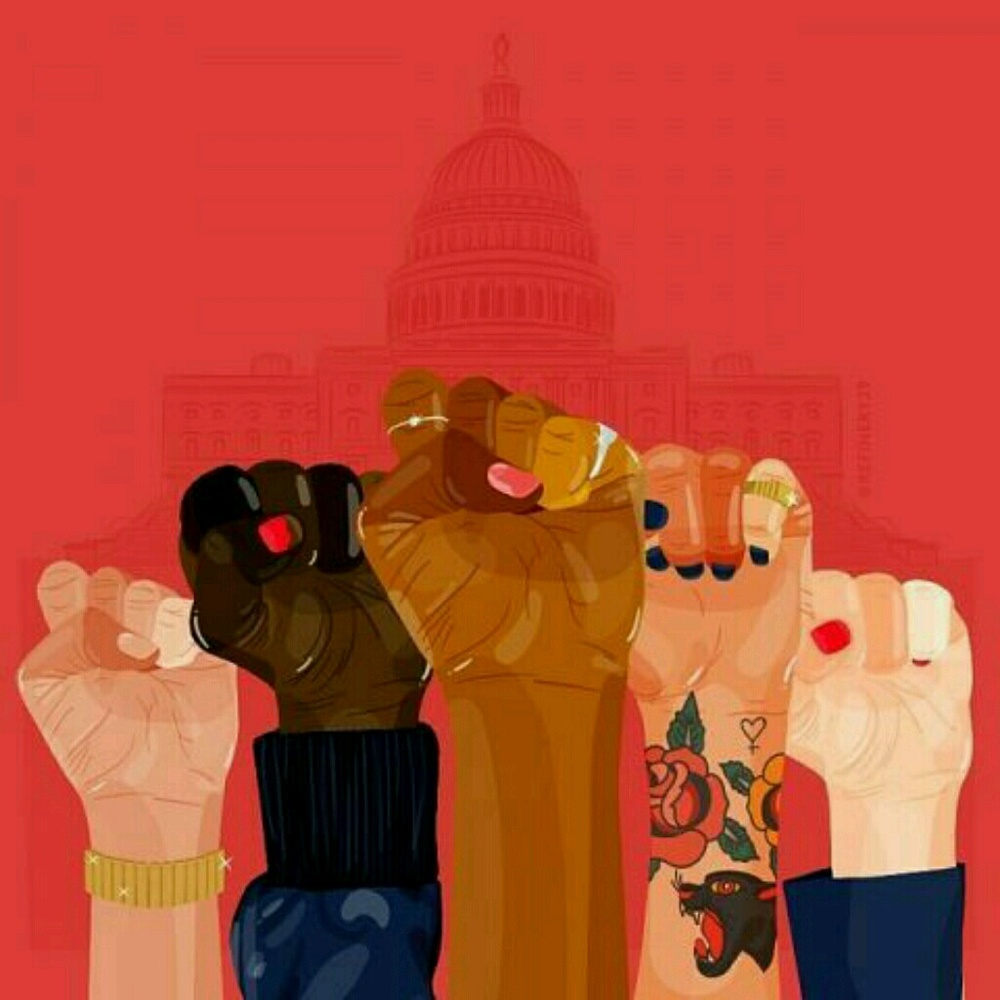 Meet your Posher, Bella